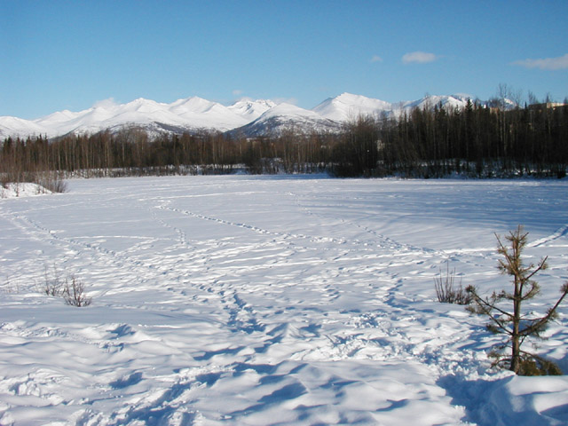 universitylake06