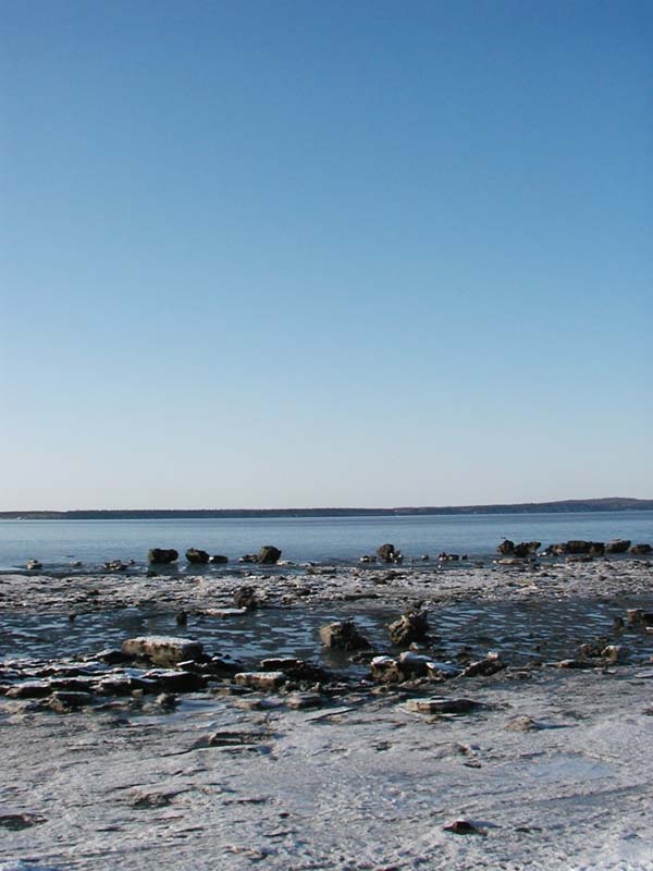 P1010003
